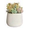 Artificial Succulent Plants in Pots