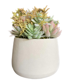 Artificial Succulent Plants in Pots