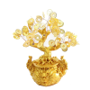 Gold Coins Money Fortune Tree