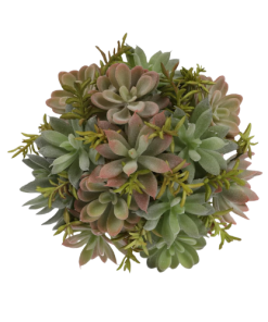 Artificial Succulent Plants in Pots