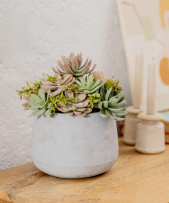 Artificial Succulent Plants in Pots