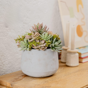 Artificial Succulent Plants in Pots